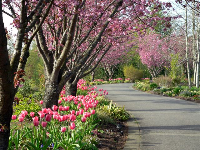 Entrance to Edgewood Garden