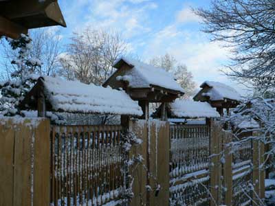 Japanese wall in the snow