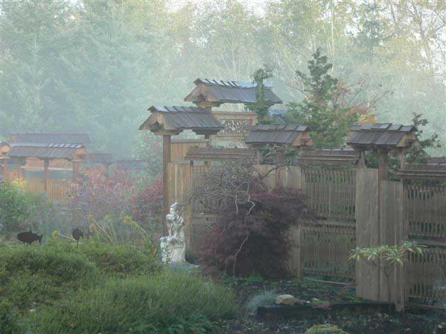 Asian garden in the fog