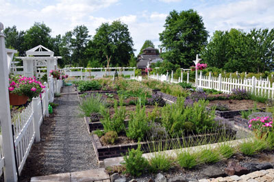 Vegetable garden from south end